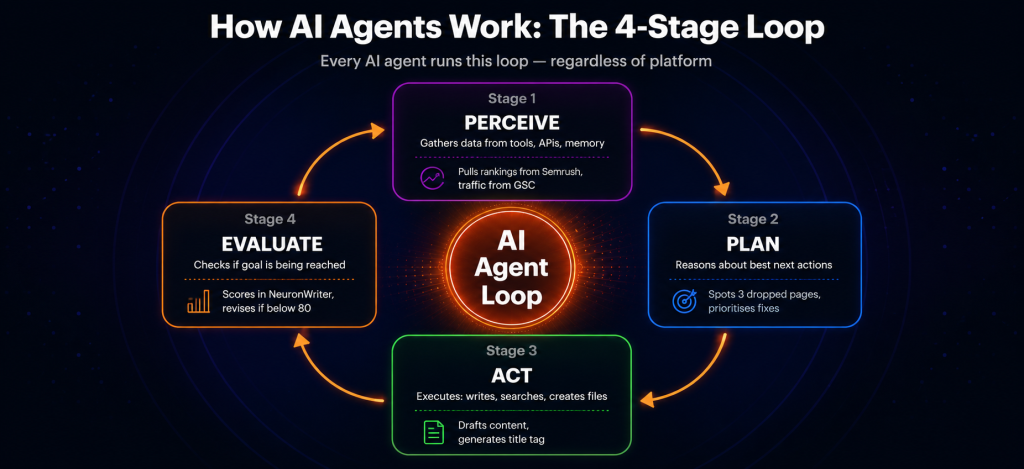 AI autonomous agent 4-stage loop showing Perceive gathering data from SEMrush and GSC then Plan reasoning about priorities then Act drafting content and finally Evaluate scoring in NeuronWriter and revising